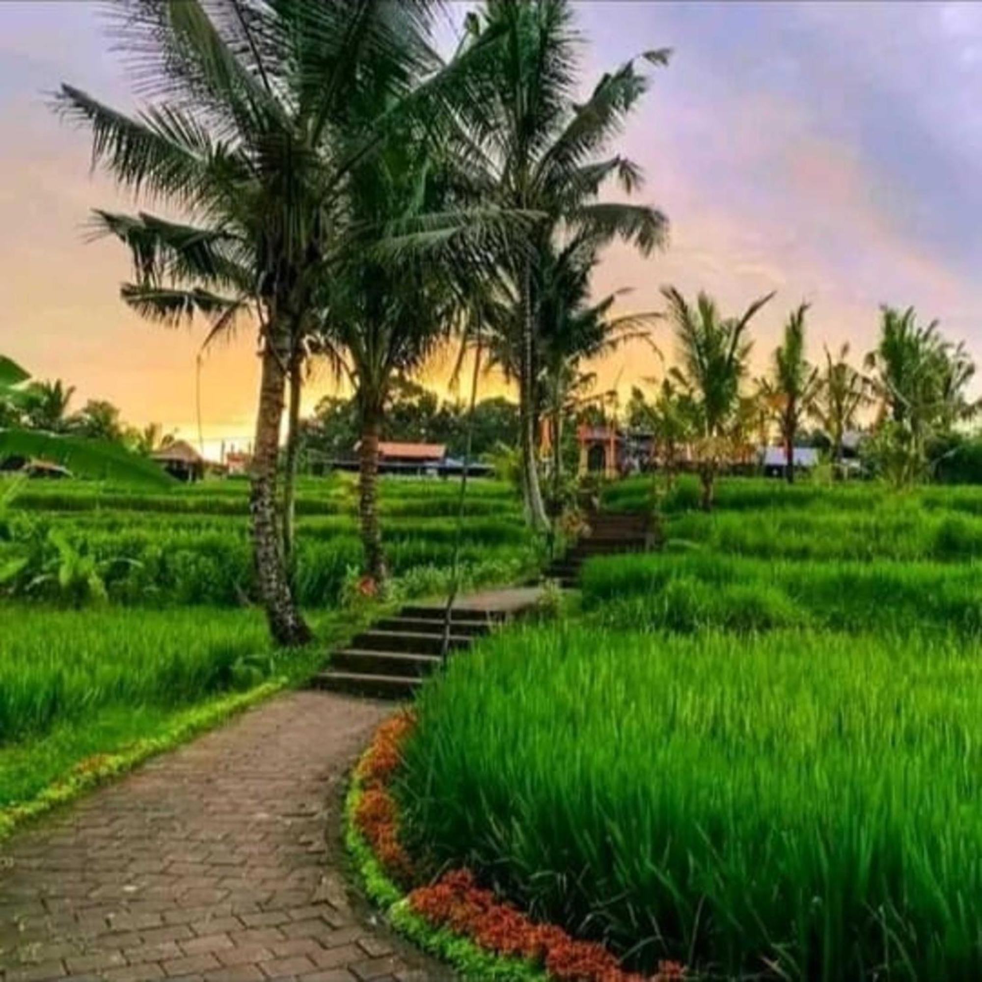 Pondok Kungkang Villa 2 Ubud  Exterior photo